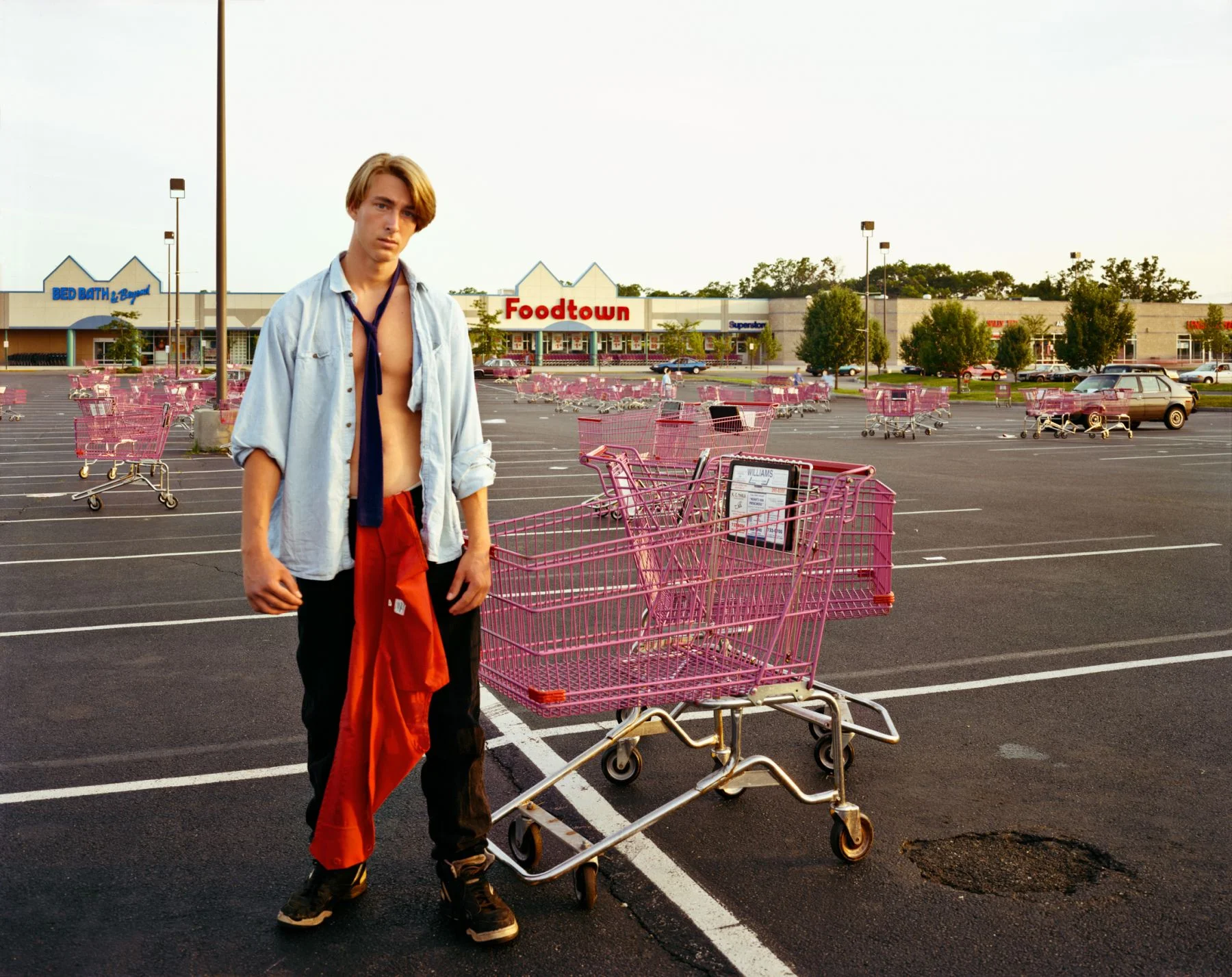 Stranger Passing — Joel Sternfeld